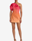 CATTERICK MINI DRESS
