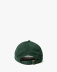 BASEBALL HAT IN FOREST