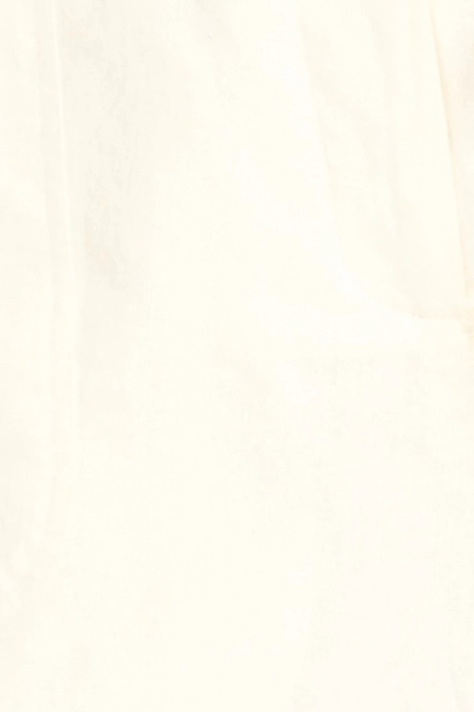 BERMUDA SHORTS