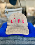 BASEBALL HAT IN TAUPE