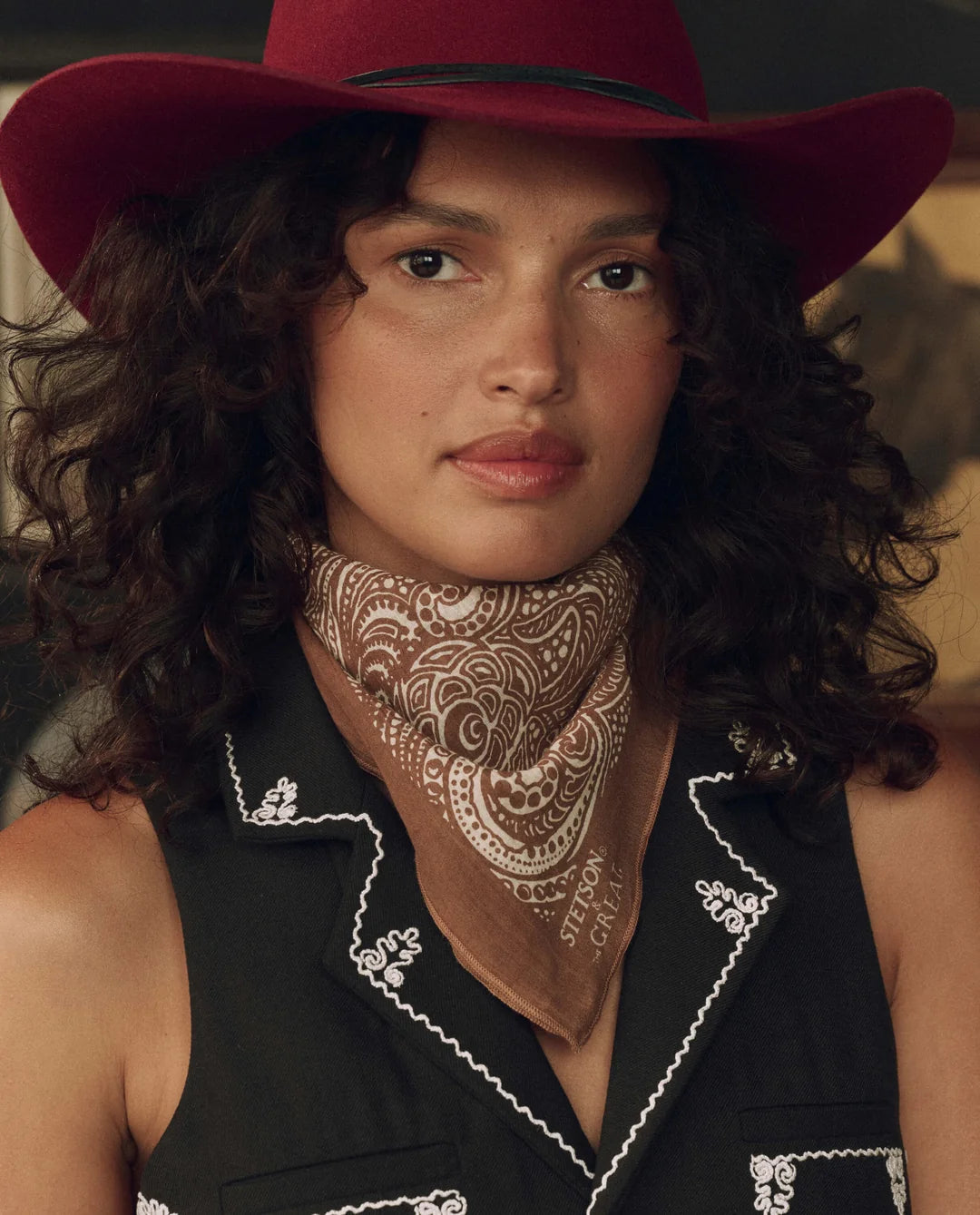 WESTERN PAISLEY SCARF