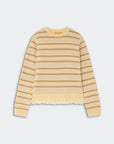 WESTERN STRIPE CREW SWEATER